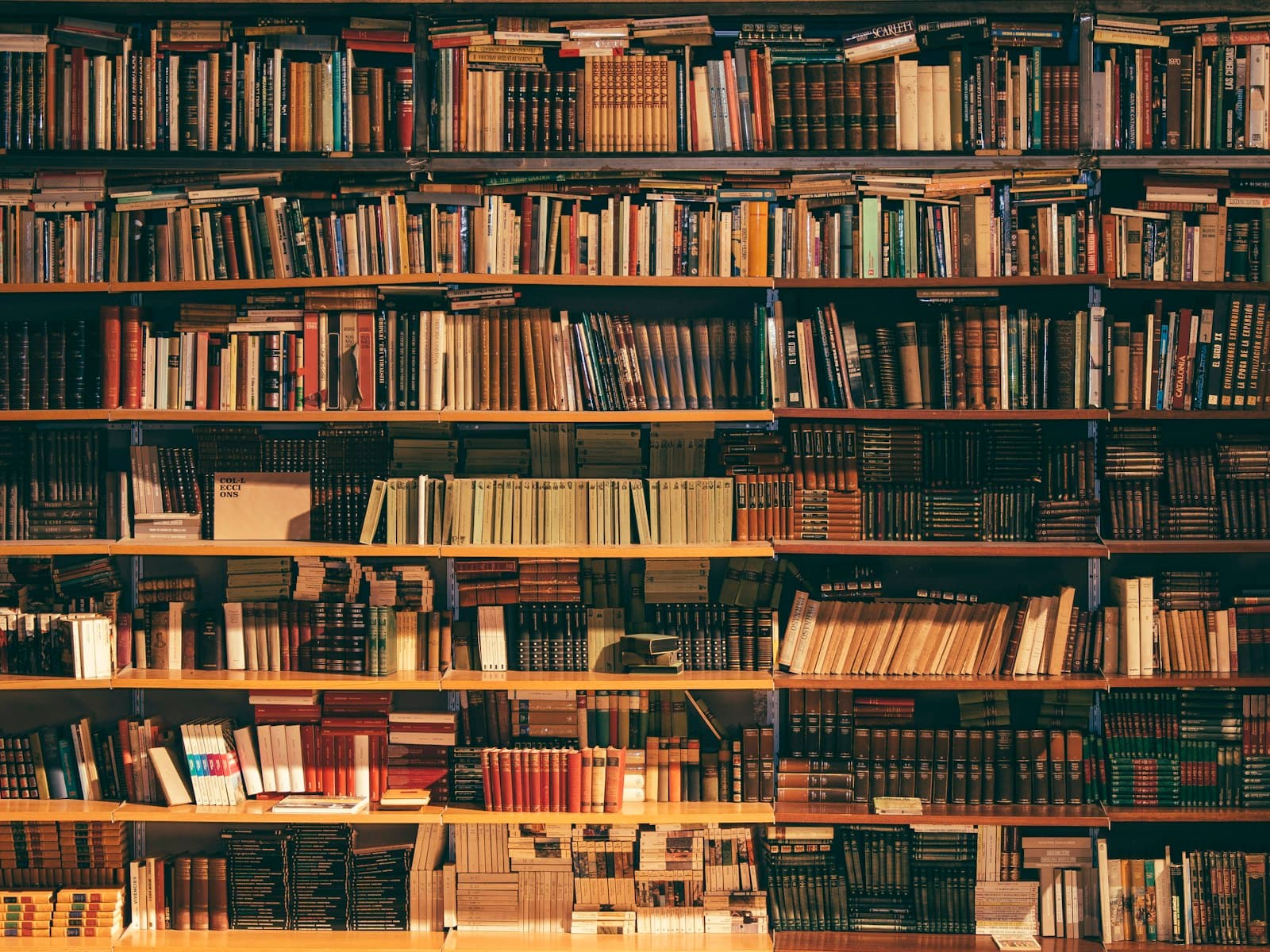 Floor-to-ceiling bookshelves in a warm library